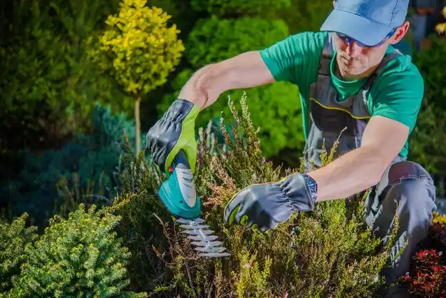 landscaping services Green Spring